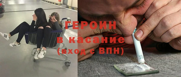 прущие грибы Абаза