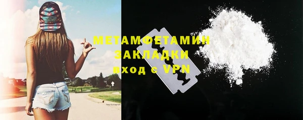 прущие грибы Абаза