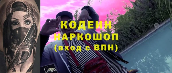 прущие грибы Абаза