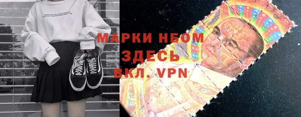 прущие грибы Абаза