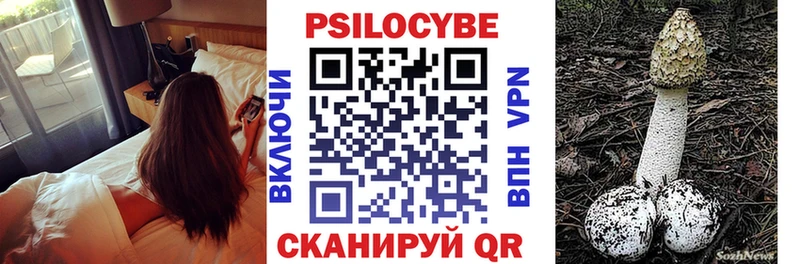 Галлюциногенные грибы прущие грибы  Кандалакша 